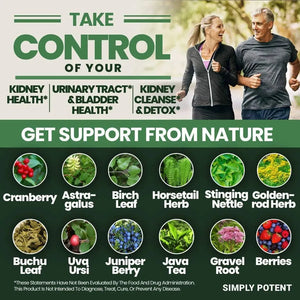SIMPLY POTENT - Simply Potent Kidney Support 60 Capsulas - The Red Vitamin MX - Suplementos Alimenticios - {{ shop.shopifyCountryName }}