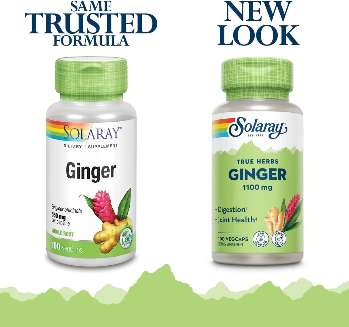 SOLARAY - SOLARAY Ginger Root 1100Mg. 100 Capsulas 2 Pack - The Red Vitamin MX - Suplementos Alimenticios - {{ shop.shopifyCountryName }}