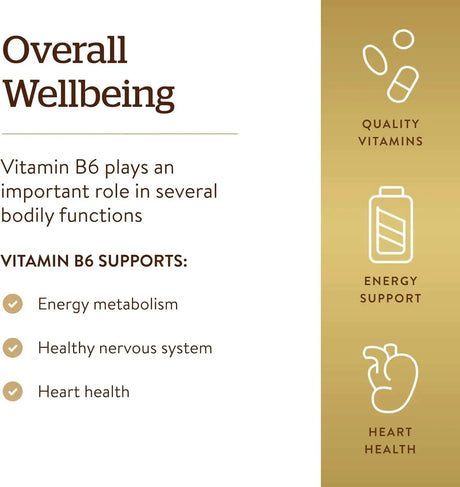 SOLGAR - Solgar Vitamin B6 25Mg. 100 Tabletas - The Red Vitamin MX - Suplementos Alimenticios - {{ shop.shopifyCountryName }}