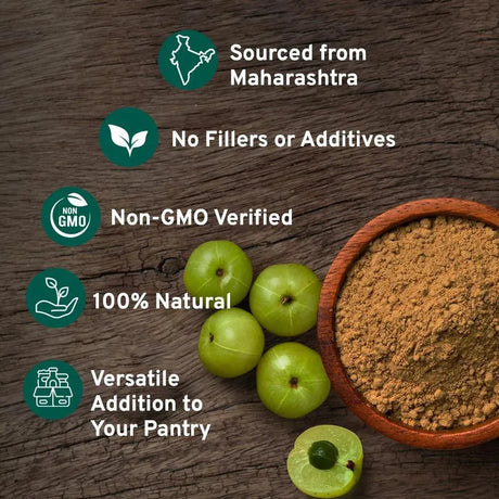 SPICE TRAIN - Spice Train Organic Amla Powder 397Gr. - The Red Vitamin MX - Suplementos Alimenticios - {{ shop.shopifyCountryName }}