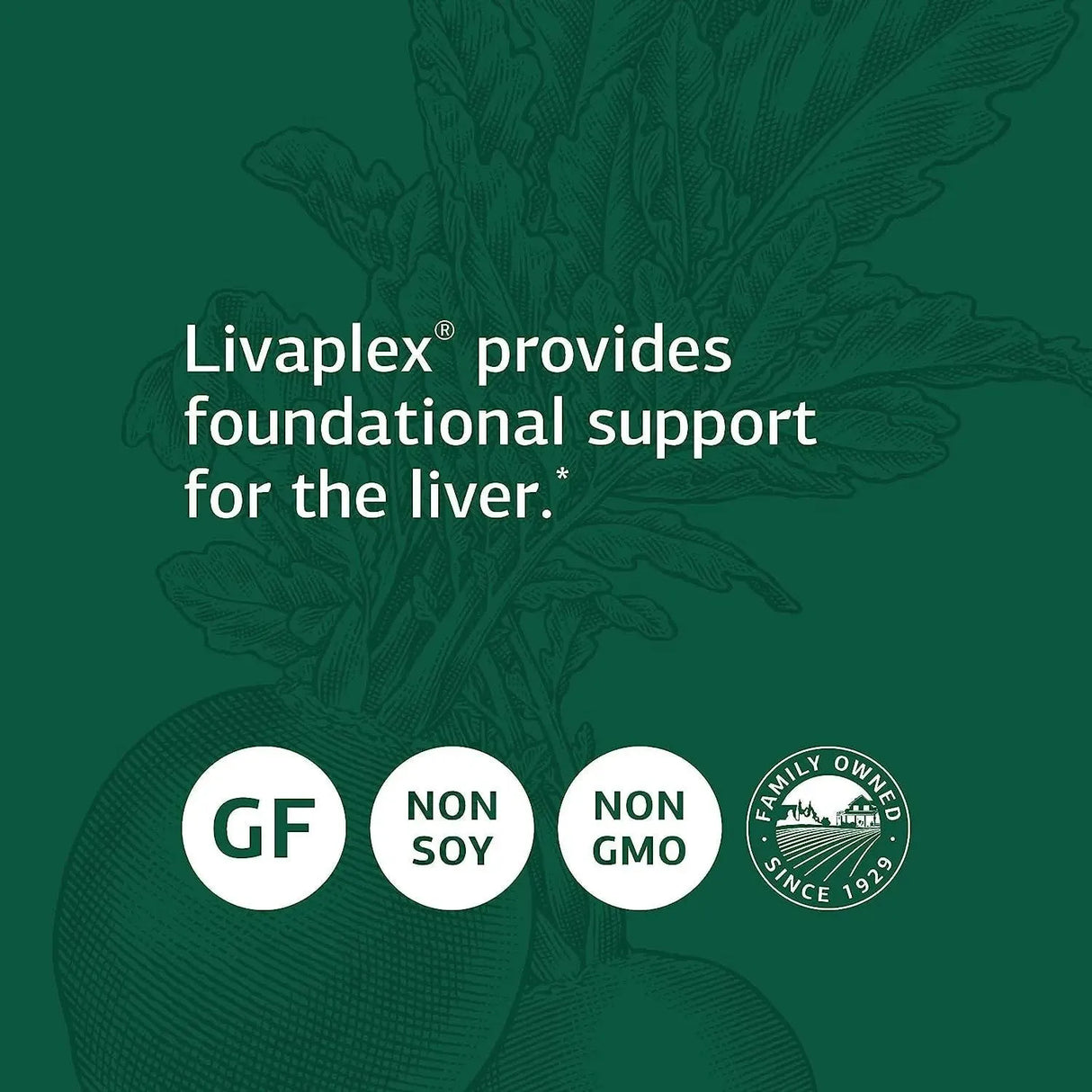 STANDARD PROCESS - Standard Process Livaplex 90 Capsulas - The Red Vitamin MX - Suplementos Alimenticios - {{ shop.shopifyCountryName }}