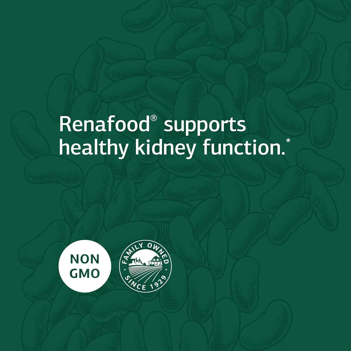 STANDARD PROCESS - Standard Process Renafood Whole Food Kidney Health 180 Tabletas - The Red Vitamin MX - Suplementos Alimenticios - {{ shop.shopifyCountryName }}