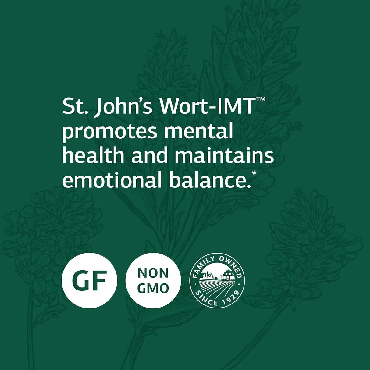 STANDARD PROCESS - Standard Process St John's Wort-IMT 90 Capsulas - The Red Vitamin MX - Suplementos Alimenticios - {{ shop.shopifyCountryName }}