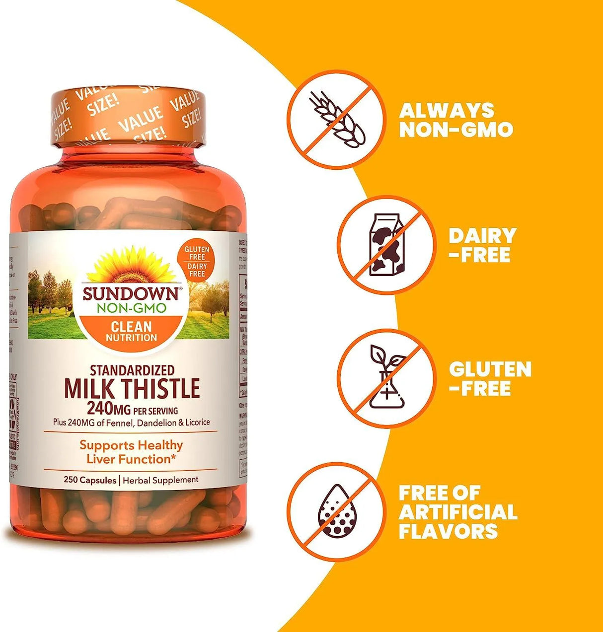 SUNDOWN - Sundown Standardized Milk Thistle 240Mg. 250 Capsulas - The Red Vitamin MX - Suplementos Alimenticios - {{ shop.shopifyCountryName }}