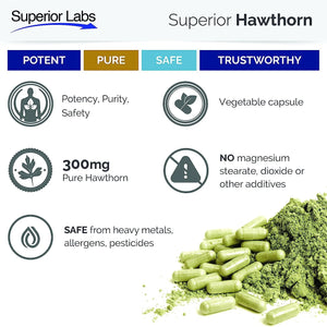 SUPERIOR LABS - Superior Labs Best Hawthorn Vitamin Supplement 300Mg. 120 Capsulas - The Red Vitamin MX - Suplementos Alimenticios - {{ shop.shopifyCountryName }}