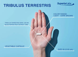 SUPERIOR LABS - Superior Labs Tribulus Terrestris 180 Capsulas - The Red Vitamin MX - Suplementos Alimenticios - {{ shop.shopifyCountryName }}