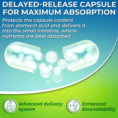 SUPPLEMENTS STUDIO - Supplements Studio Optimal DIM 200Mg. 60 Capsulas - The Red Vitamin MX - Suplementos Alimenticios - {{ shop.shopifyCountryName }}