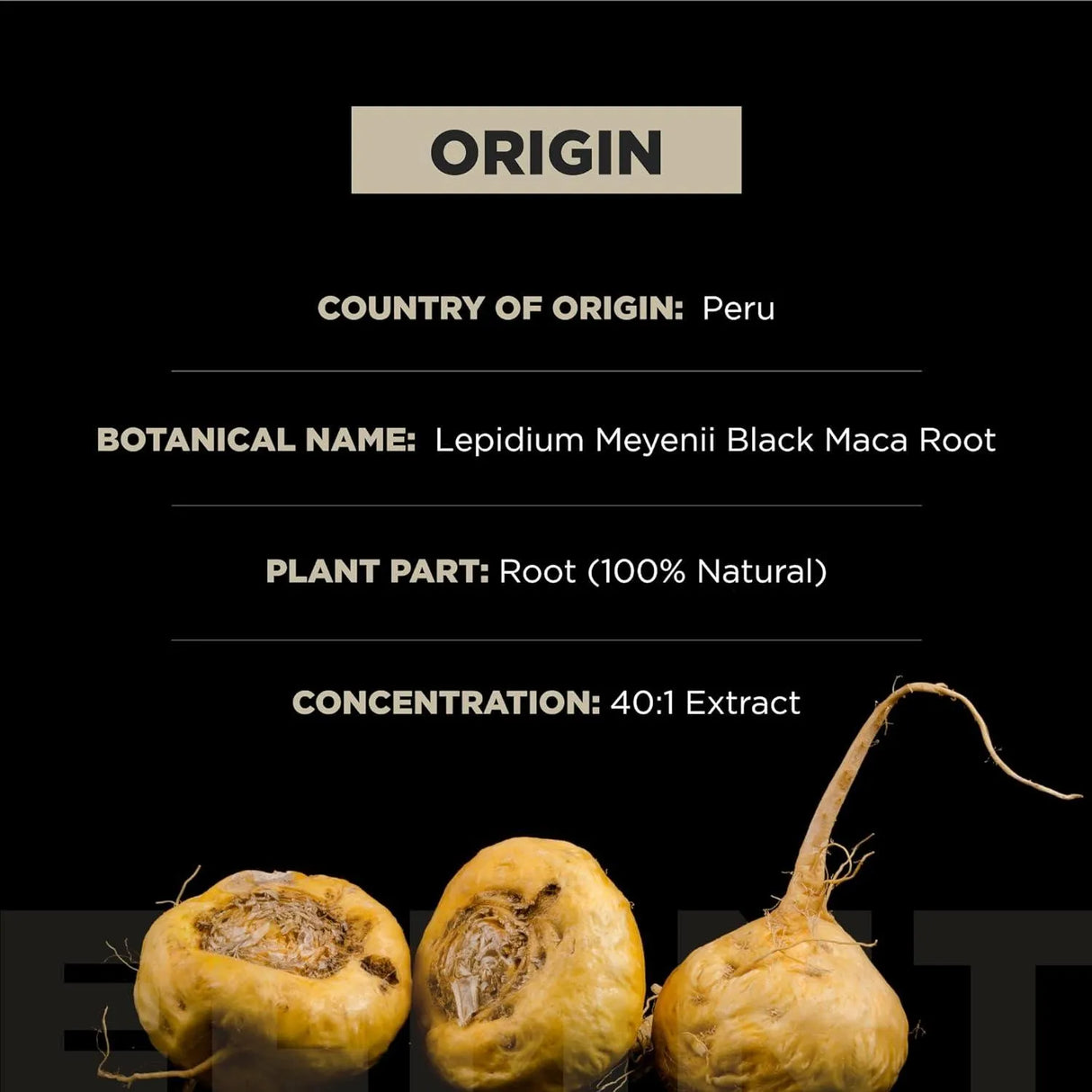 TERRA ELMNT - ELMNT Strength Organic Black Maca Root with Ashwagandha 60 Capsulas - The Red Vitamin MX - Suplementos Alimenticios - {{ shop.shopifyCountryName }}