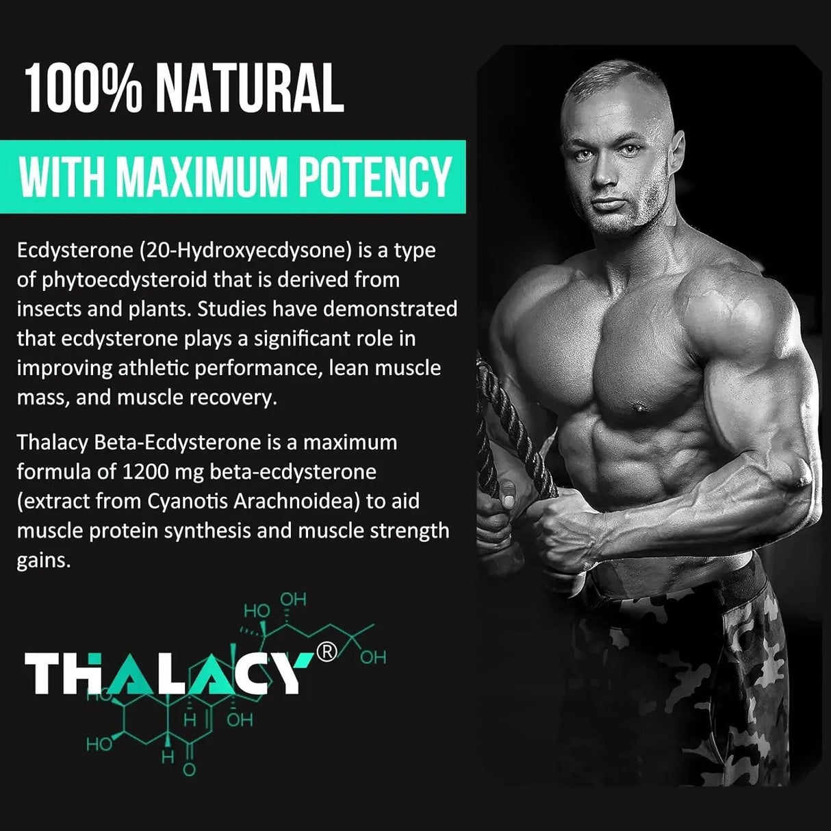 THALACY - Thalacy Beta Ecdysterone 1200Mg. 60 Capsulas 2 Pack - The Red Vitamin MX - Suplementos Alimenticios - {{ shop.shopifyCountryName }}