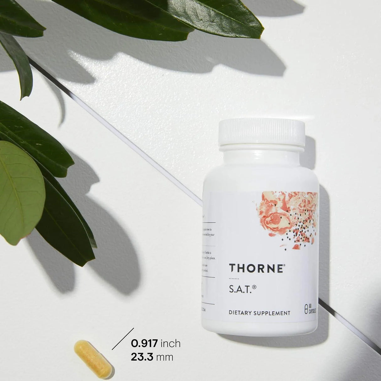 THORNE RESEARCH - Thorne S.A.T. Silymarin, Artichoke, and Turmeric Extracts 60 Capsulas - The Red Vitamin MX - Suplementos Alimenticios - {{ shop.shopifyCountryName }}