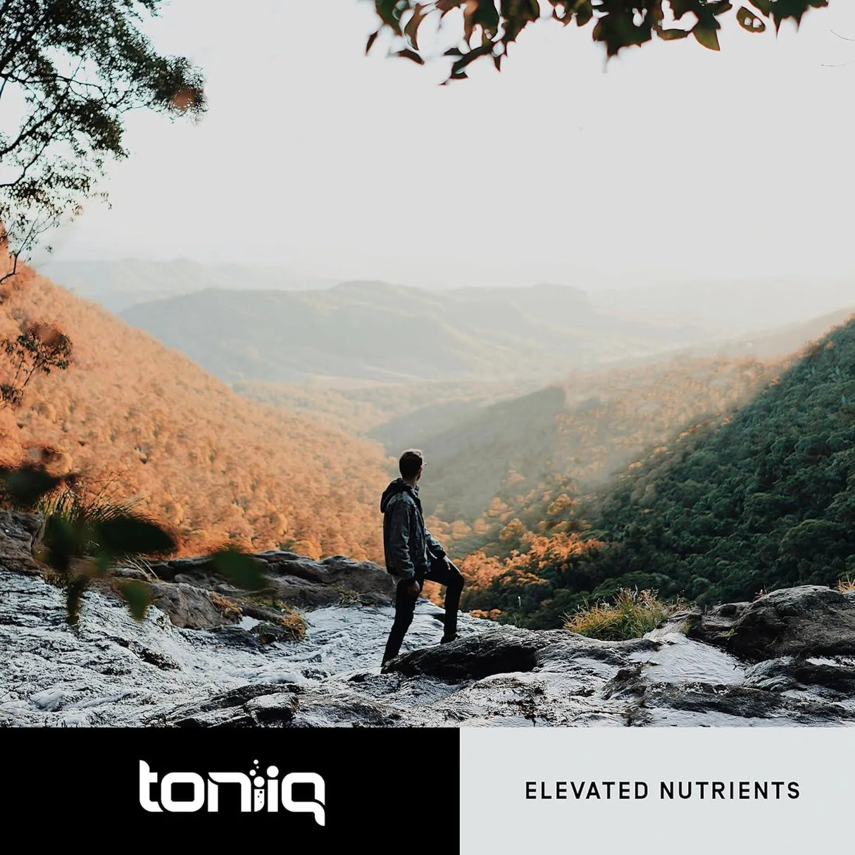 TONIIQ - Toniiq Artichoke Extract 18,000Mg. 120 Capsulas 2 Pack - The Red Vitamin MX - Suplementos Alimenticios - {{ shop.shopifyCountryName }}