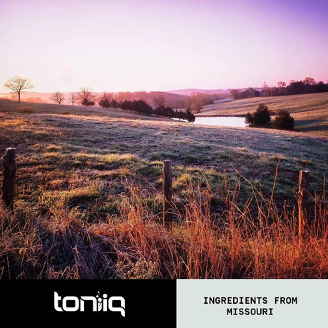 TONIIQ - Toniiq Concentrated Extract Beet Root 240 Capsulas - The Red Vitamin MX - Suplementos Alimenticios - {{ shop.shopifyCountryName }}