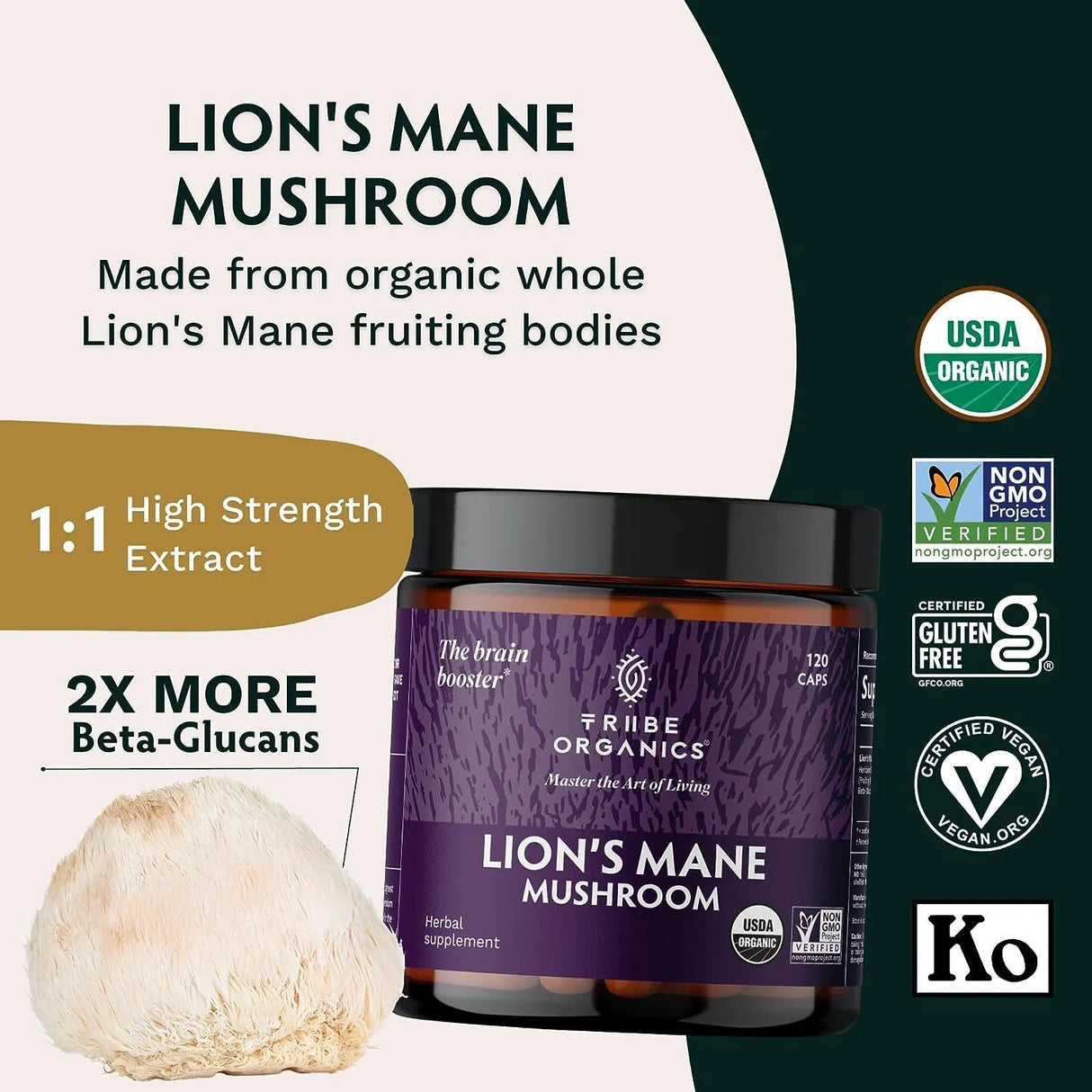 TRIBE ORGANICS - TRIBE ORGANICS Lion’s Mane Supplement 1800Mg. 120 Capsulas - The Red Vitamin MX - Suplementos Alimenticios - {{ shop.shopifyCountryName }}