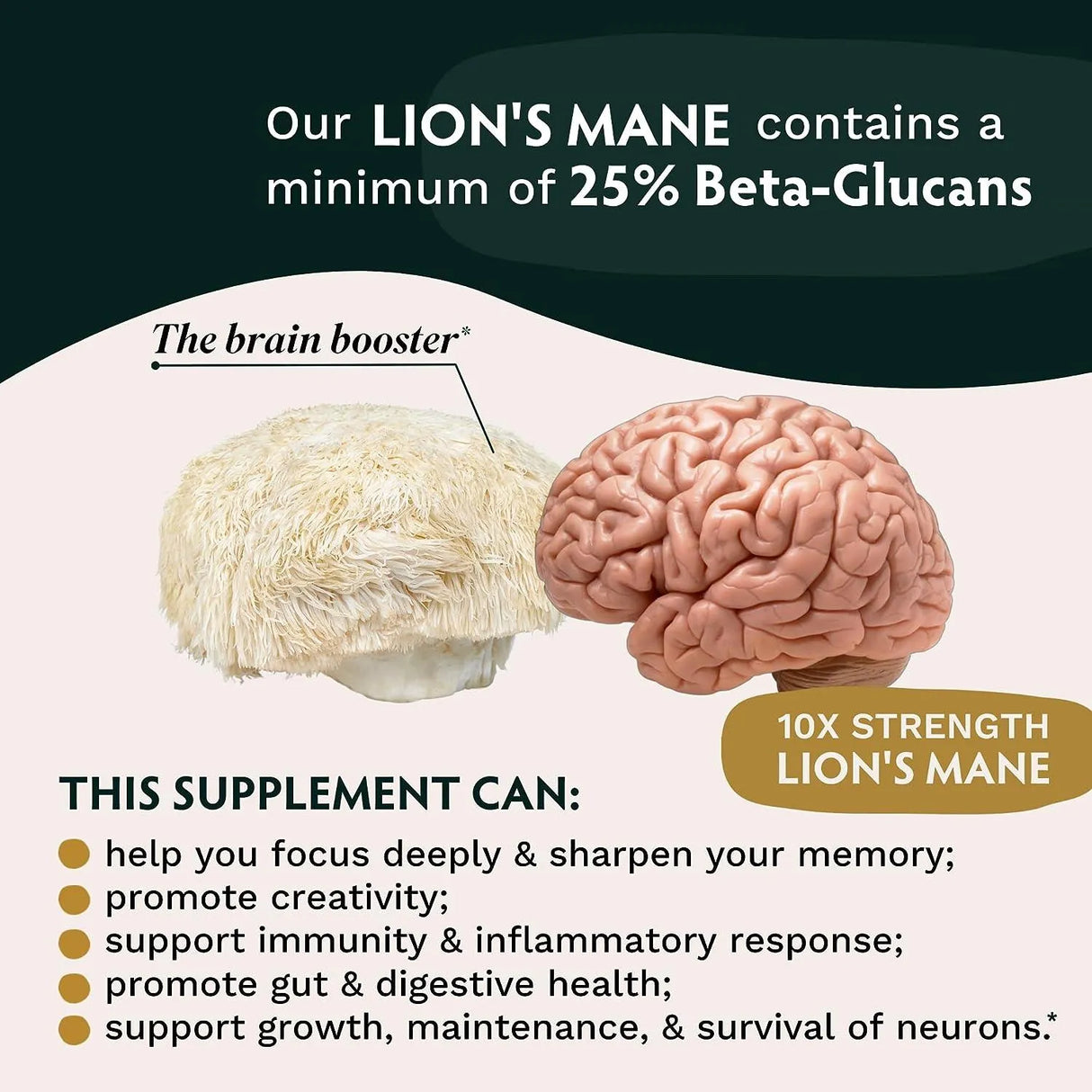 TRIBE ORGANICS - TRIBE ORGANICS Lion’s Mane Supplement 1800Mg. 120 Capsulas - The Red Vitamin MX - Suplementos Alimenticios - {{ shop.shopifyCountryName }}