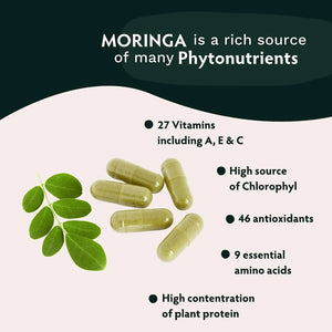 TRIBE ORGANICS - TRIBE ORGANICS Organic Moringa Oleifera Powder 1800Mg. 120 Capsulas - The Red Vitamin MX - Suplementos Alimenticios - {{ shop.shopifyCountryName }}