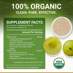 TRUE VEDA - True Veda Organic Amla 60 Capsulas - The Red Vitamin MX - Suplementos Alimenticios - {{ shop.shopifyCountryName }}