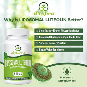 ULMUBRA - Ulmubra Liposomal Luteolin 500Mg. 60 Capsulas Blandas 2 Pack - The Red Vitamin MX - Suplementos Alimenticios - {{ shop.shopifyCountryName }}