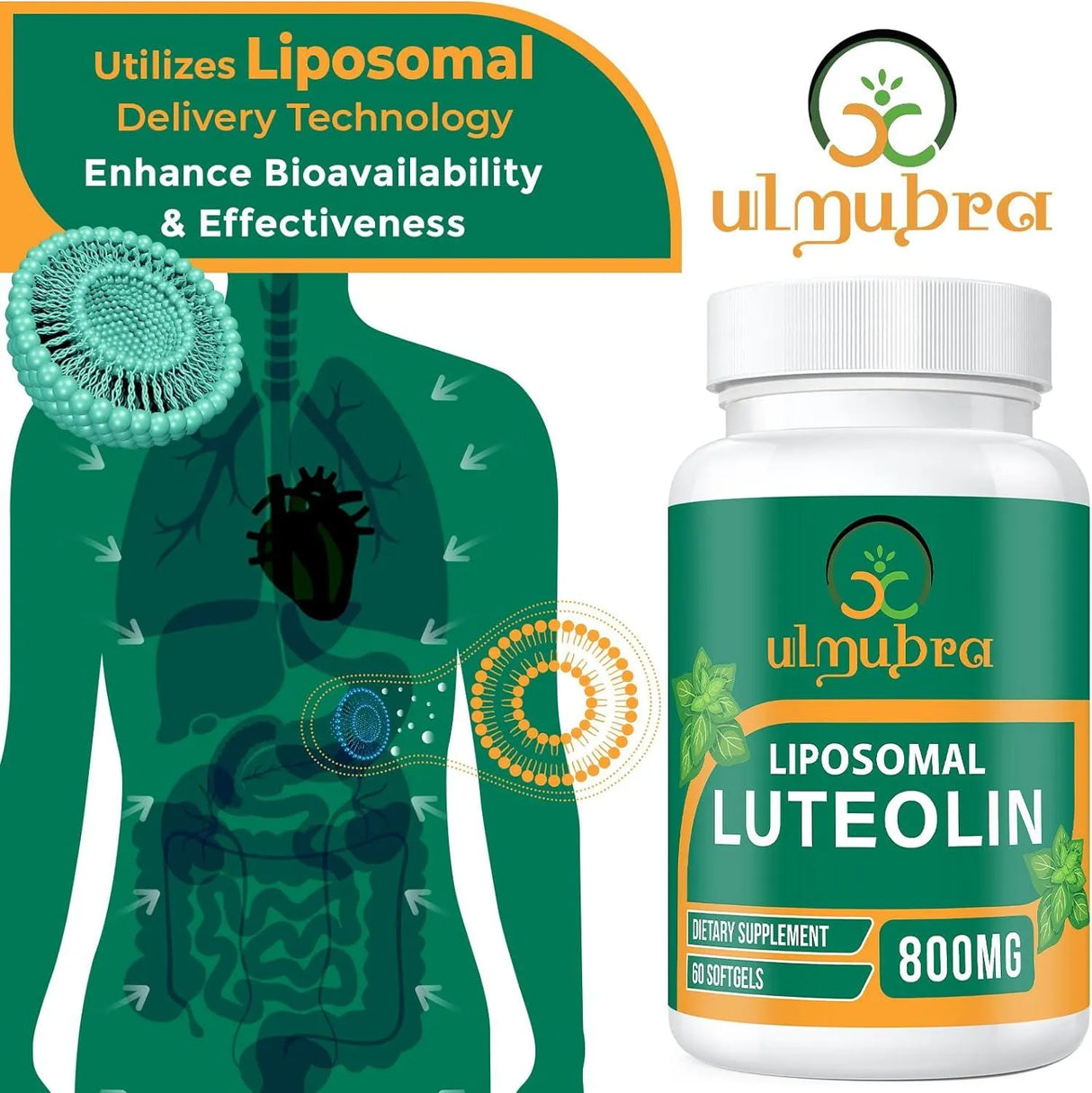 ULMUBRA - Ulmubra Liposomal Luteolin 800Mg. 60 Capsulas Blandas - The Red Vitamin MX - Suplementos Alimenticios - {{ shop.shopifyCountryName }}