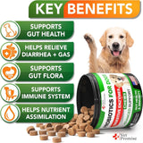 VET PROMISE - Vet Promise Probiotics for Dogs 120 Masticables - The Red Vitamin MX - Probióticos Para Perros - {{ shop.shopifyCountryName }}