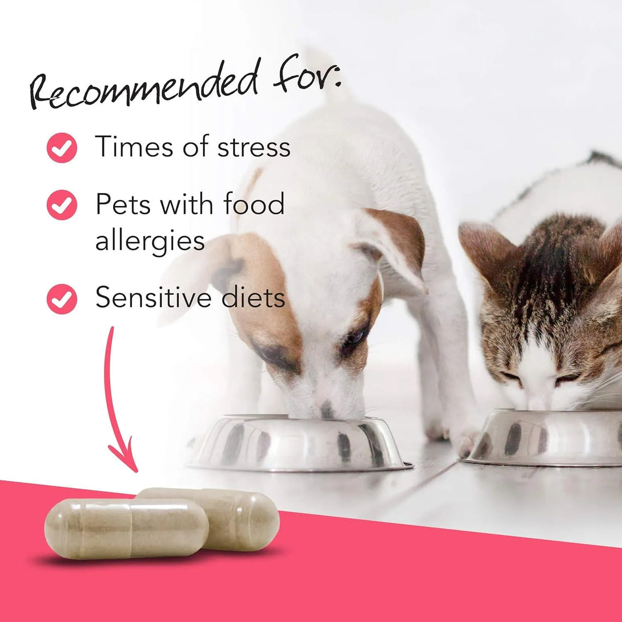 VETRISCIENCE - VetriScience Vetri Mega Probiotics for Dogs & Cats 180 Capsulas - The Red Vitamin MX - Probióticos Para Perros - {{ shop.shopifyCountryName }}