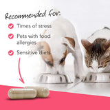 VETRISCIENCE - VetriScience Vetri Mega Probiotics for Dogs & Cats 180 Capsulas - The Red Vitamin MX - Probióticos Para Perros - {{ shop.shopifyCountryName }}