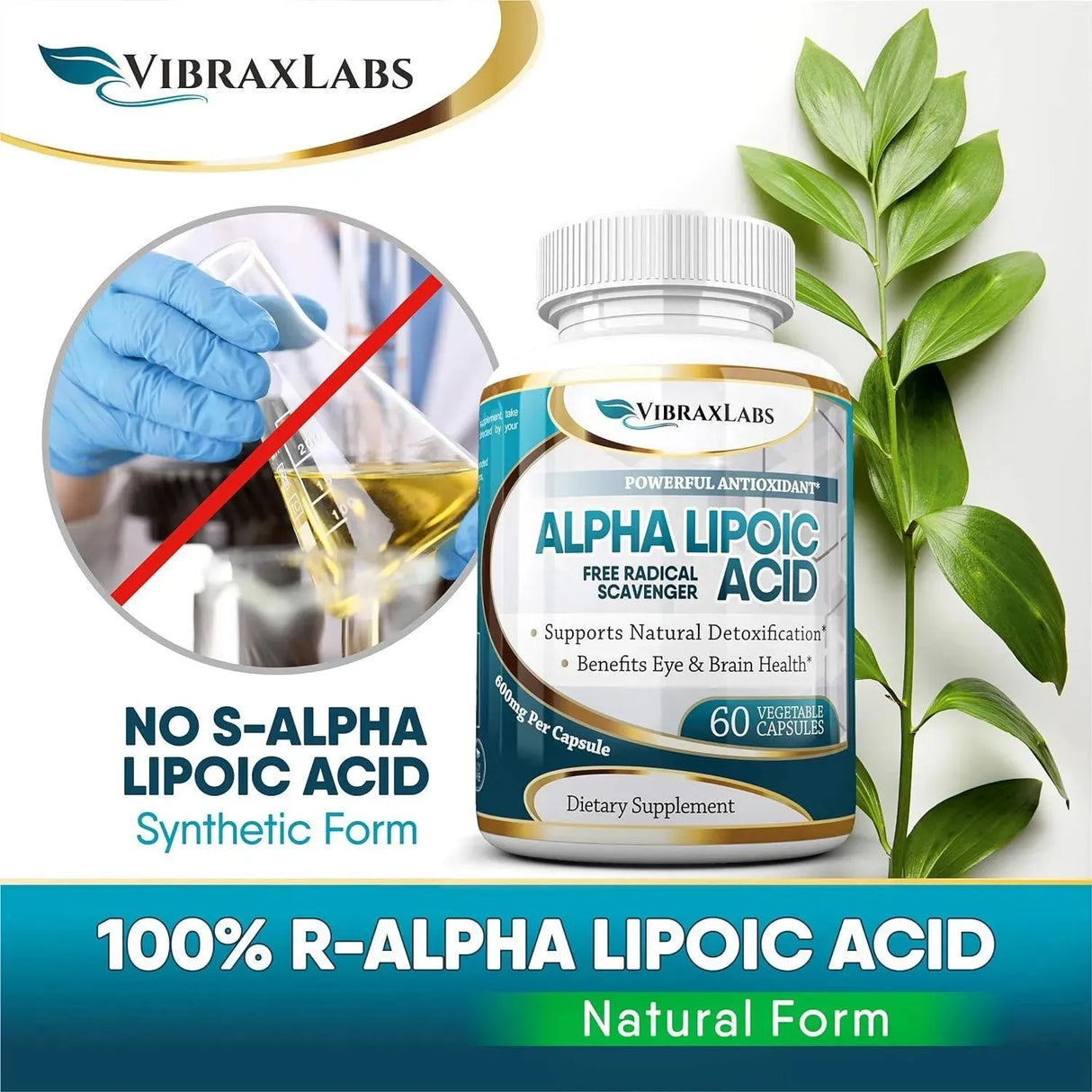 VIBRAXLABS - Vibraxlabs Alpha Lipoic Acid 600Mg. 60 Capsulas - The Red Vitamin MX - Suplementos Alimenticios - {{ shop.shopifyCountryName }}