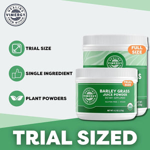 VIMERGY - Vimergy USDA Organic Barley Grass Juice Powder 120Gr. - The Red Vitamin MX - Suplementos Alimenticios - {{ shop.shopifyCountryName }}