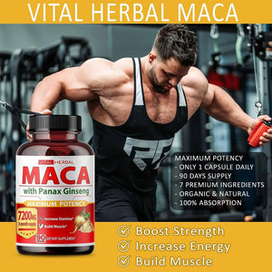 VITAL HERBAL - Vital Herbal Maca Root 7200Mg. 90 Capsulas - The Red Vitamin MX - Suplementos Alimenticios - {{ shop.shopifyCountryName }}