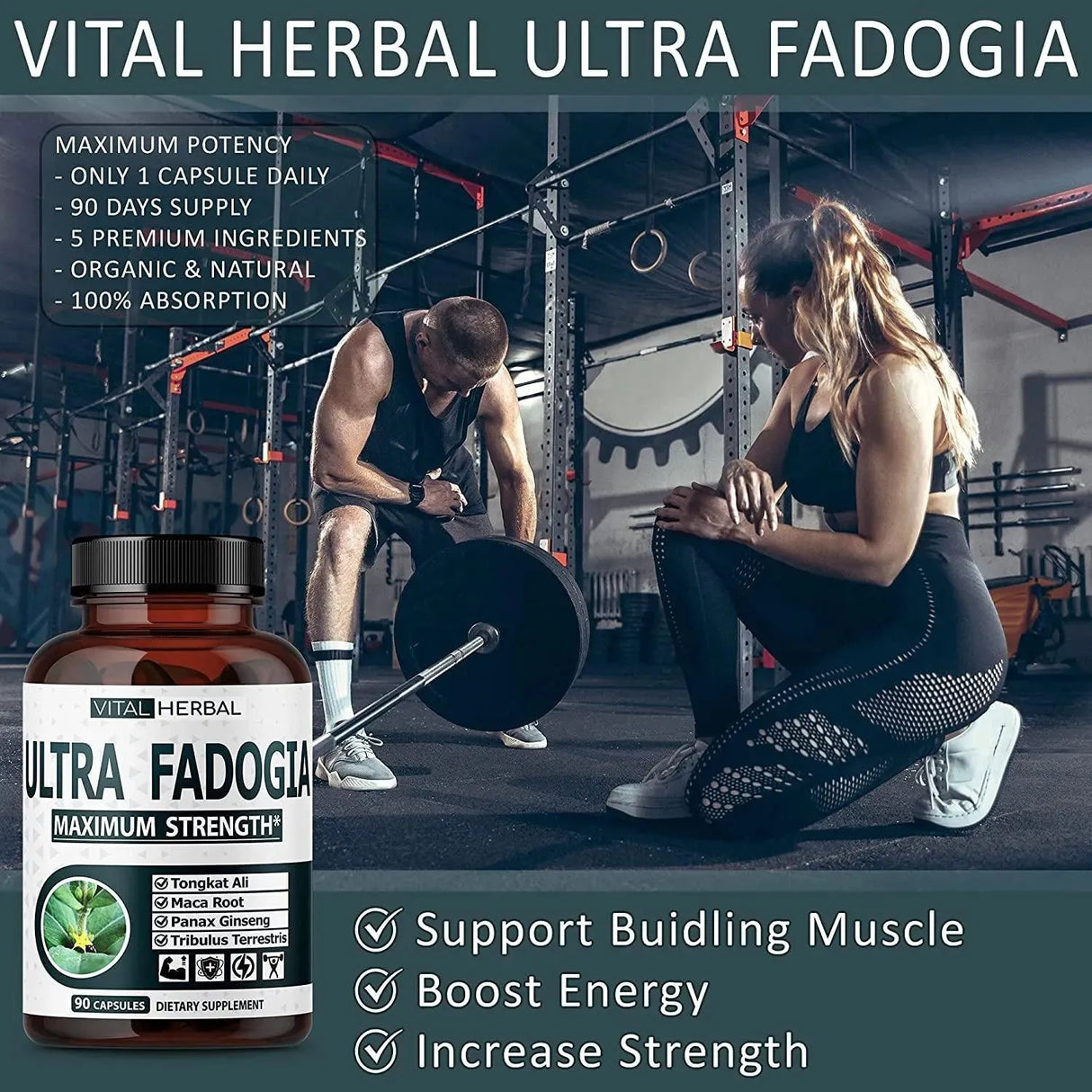 VITAL HERBAL - Vital Herbal Ultra Fadogia Agrestis 10:1 Extract Tongkat Ali 9570Mg. 90 Capsulas - The Red Vitamin MX - Suplementos Alimenticios - {{ shop.shopifyCountryName }}