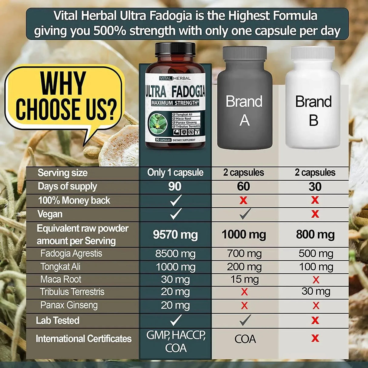 VITAL HERBAL - Vital Herbal Ultra Fadogia Agrestis 10:1 Extract Tongkat Ali 9570Mg. 90 Capsulas - The Red Vitamin MX - Suplementos Alimenticios - {{ shop.shopifyCountryName }}