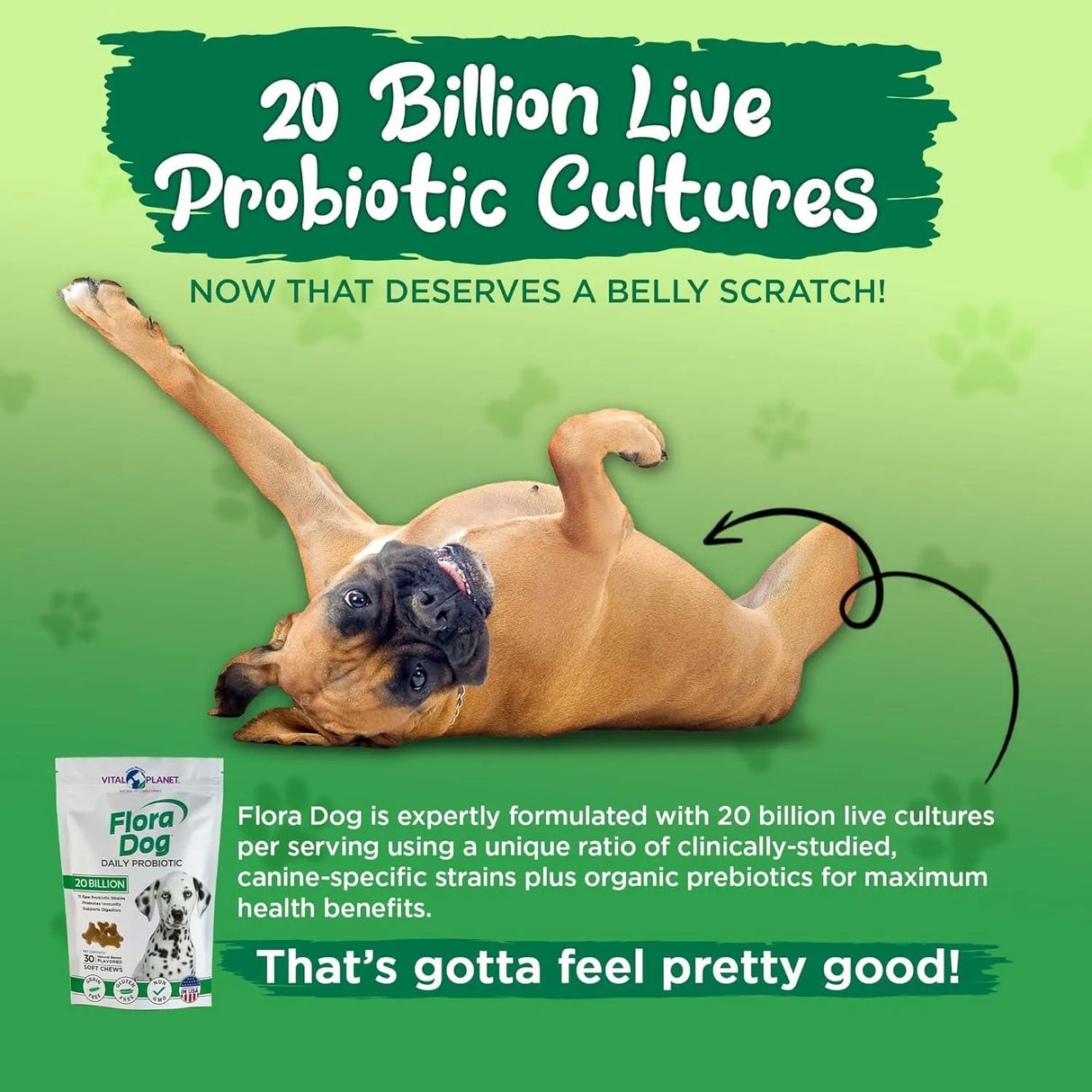 VITAL PLANET - Vital Planet Flora Dog Probiotics Natural Bacon Flavored 30 Masticables - The Red Vitamin MX - Probióticos Para Perros - {{ shop.shopifyCountryName }}