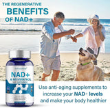 VIVALIFER - VIVALIFER NAD+ & Resveratrol 1500Mg. 120 Capsulas - The Red Vitamin MX - Suplementos Alimenticios - {{ shop.shopifyCountryName }}