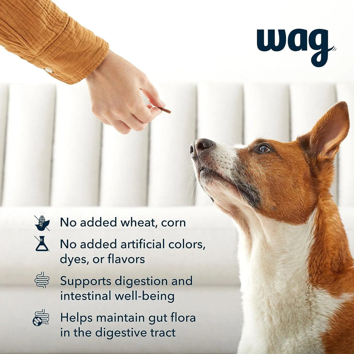 WAG - Wag Probiotic Supplement Chews for Dogs Natural Duck Flavor 160 Masticables - The Red Vitamin MX - Probióticos Para Perros - {{ shop.shopifyCountryName }}