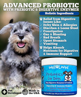 WELL LOVED - Well Loved Probiotics for Dogs 120 Masticables - The Red Vitamin MX - Probióticos Para Perros - {{ shop.shopifyCountryName }}