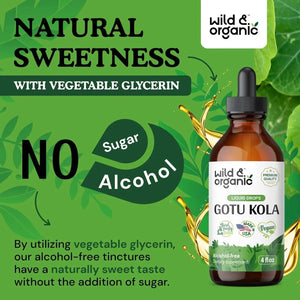 WILD & ORGANIC - Wild & Organic Gotu Kola Drops 4 Fl.Oz. - The Red Vitamin MX - Suplementos Alimenticios - {{ shop.shopifyCountryName }}