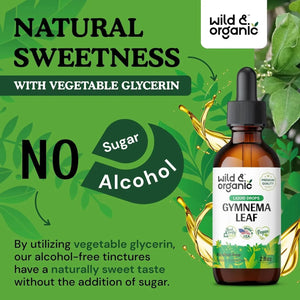 WILD & ORGANIC - Wild & Organic Gymnema Sylvestre Liquid Extract 2 Fl.Oz. - The Red Vitamin MX - Suplementos Alimenticios - {{ shop.shopifyCountryName }}