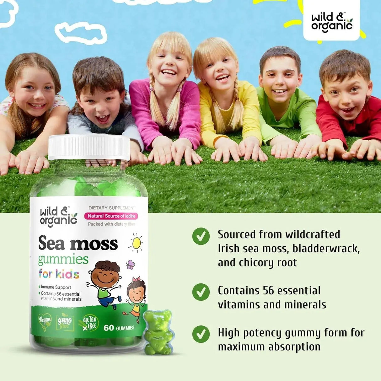 WILD & ORGANIC - Wild & Organic Sea Moss Gummies for Kids 60 Gomitas - The Red Vitamin MX - Suplementos Alimenticios - {{ shop.shopifyCountryName }}