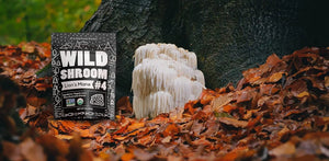 WILD FOODS - Wild Foods Lion's Mane Mushroom Extract 113Gr. - The Red Vitamin MX - Suplementos Alimenticios - {{ shop.shopifyCountryName }}