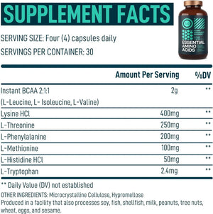 WILD FUEL - Wild Fuel Essential Amino Acid 120 Capsulas 2 Pack - The Red Vitamin MX - Suplementos Alimenticios - {{ shop.shopifyCountryName }}