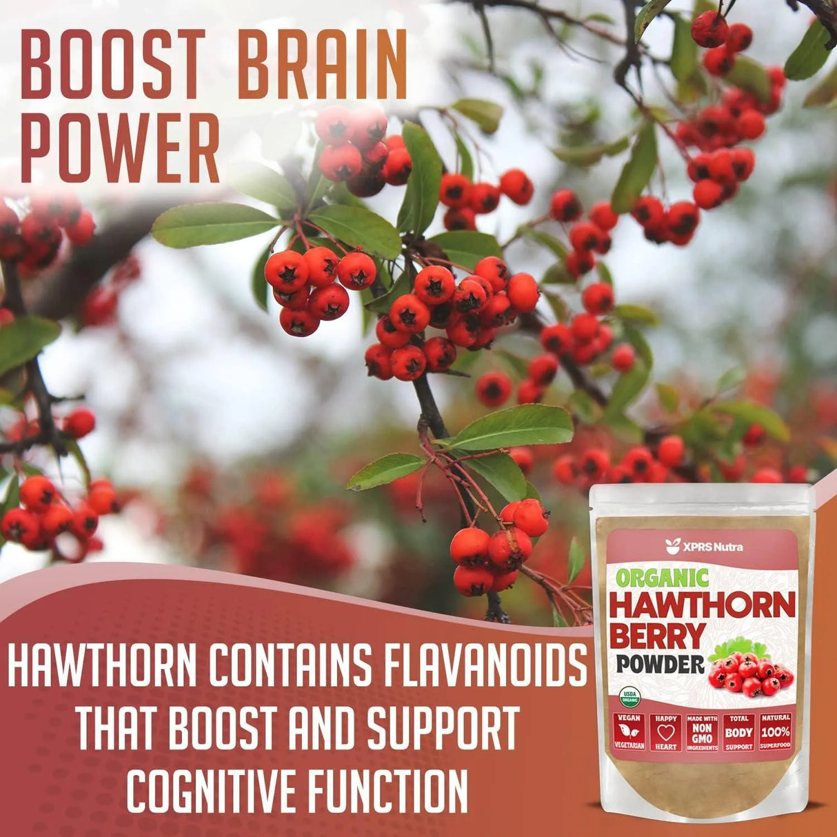 XPRS NUTRA - XPRS Nutra Organic Hawthorn Berry Powder 16 Oz. - The Red Vitamin MX - Suplementos Alimenticios - {{ shop.shopifyCountryName }}