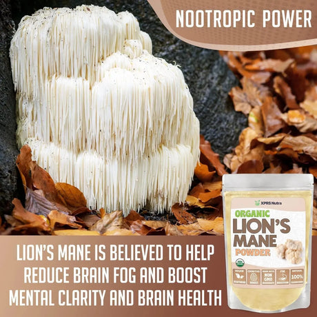 XPRS NUTRA - XPRS Nutra Organic Lion's Mane Powder 113Gr. - The Red Vitamin MX - Suplementos Alimenticios - {{ shop.shopifyCountryName }}