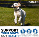 YUMA'S - YUMA'S Probiotics for Dogs and Digestive Enzymes 170 Masticables 2 Pack - The Red Vitamin MX - Probióticos Para Perros - {{ shop.shopifyCountryName }}