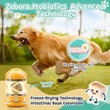 ZEBORA - Zebora Probiotics for Dogs Digestive Health 120 Masticables - The Red Vitamin MX - Probióticos Para Perros - {{ shop.shopifyCountryName }}