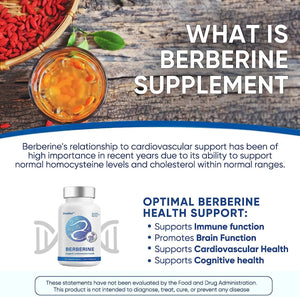 ZENLIFER - Zenlifer Berberine Supplement 1200Mg. 120 Capsulas - The Red Vitamin MX - Suplementos Alimenticios - {{ shop.shopifyCountryName }}