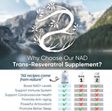 ZENLIFER - Zenlifer NAD+ 1000Mg. Resveratrol Boosting Supplement - The Red Vitamin MX - Suplementos Alimenticios - {{ shop.shopifyCountryName }}