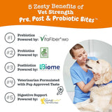 ZESTY PAWS - Zesty Paws Pre, Post & Probiotic Bites Chicken & Vegetable 90 Masticables - The Red Vitamin MX - Probióticos Para Perros - {{ shop.shopifyCountryName }}