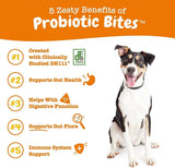 ZESTY PAWS - Zesty Paws Probiotic for Dogs Pumpkin Flavor 90 Masticables - The Red Vitamin MX - Probióticos Para Perros - {{ shop.shopifyCountryName }}