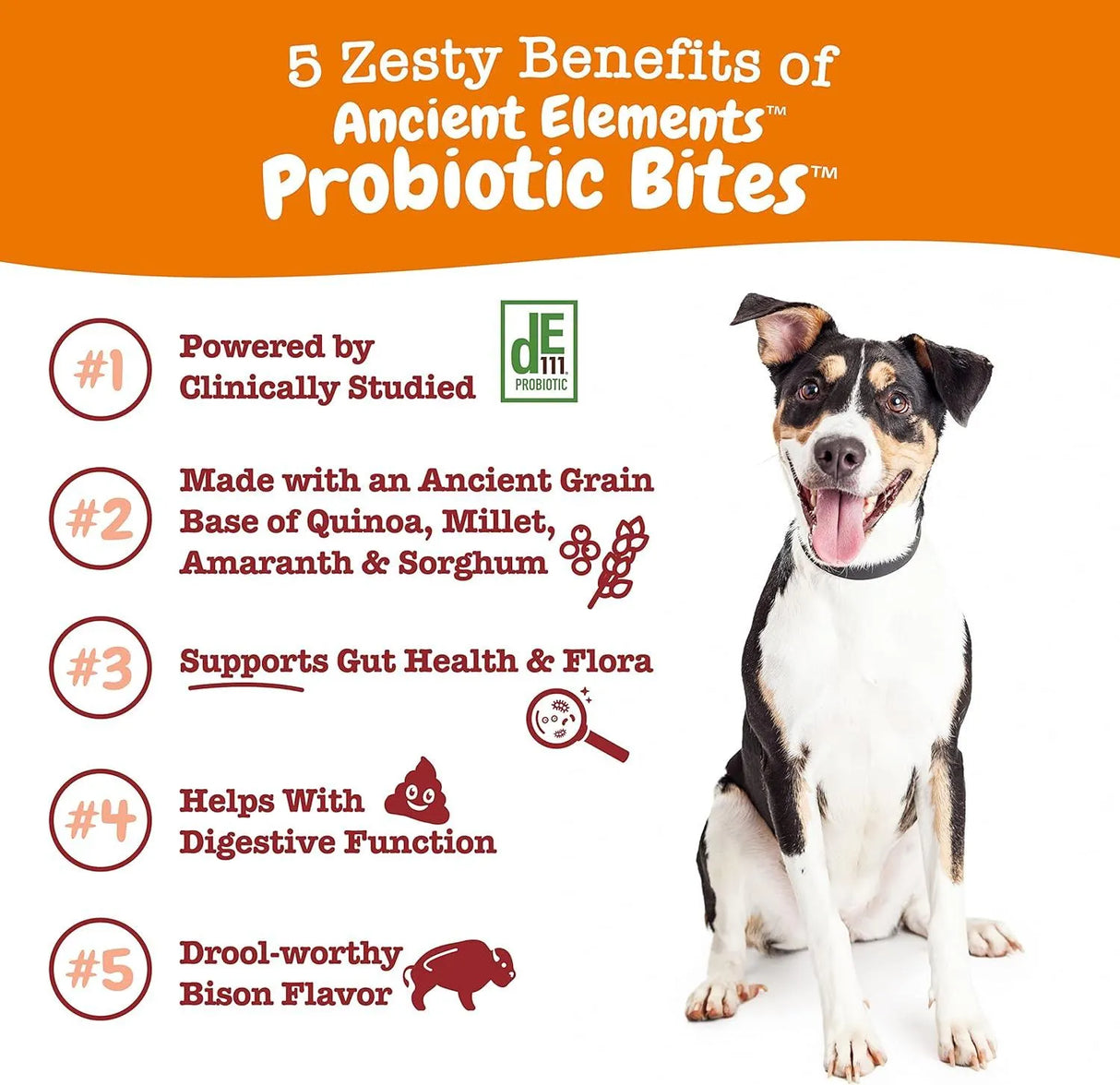 ZESTY PAWS - Zesty Paws Probiotics for Dogs Bison Flavor 90 Masticables - The Red Vitamin MX - Probióticos Para Perros - {{ shop.shopifyCountryName }}