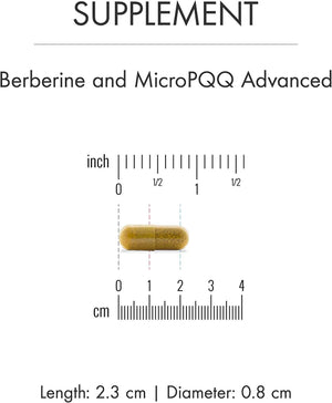 DR MERCOLA - Dr. Mercola Berberine and MircoPQQ Advanced 90 Capsulas - The Red Vitamin MX - Suplementos Alimenticios - {{ shop.shopifyCountryName }}