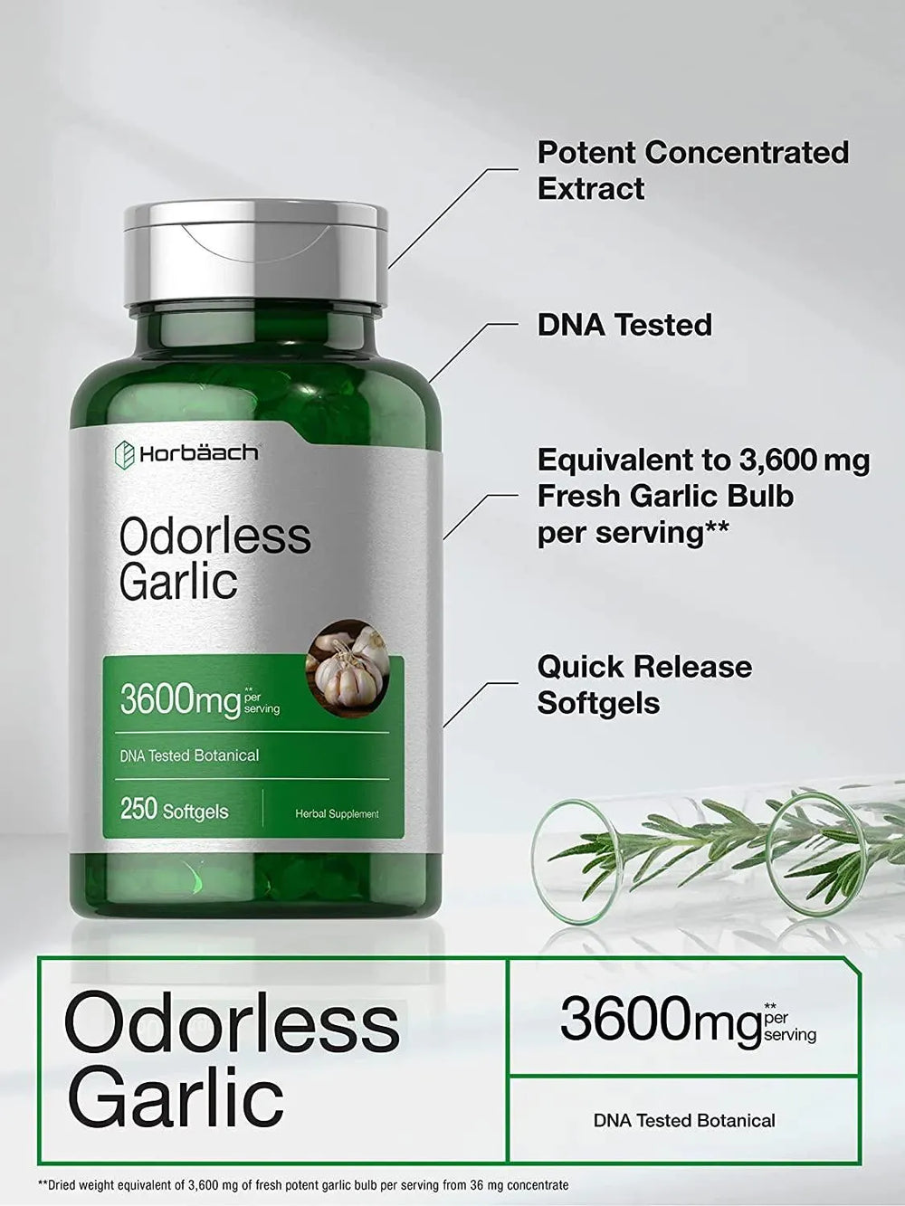 HORBAACH - Horbaach Odorless Garlic 3600Mg. 250 Capsulas Blandas - The Red Vitamin MX - Suplementos Alimenticios - {{ shop.shopifyCountryName }}
